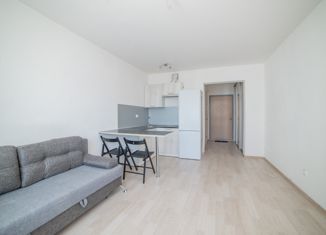 Квартира на продажу студия, 23.6 м2, посёлок Мичуринский, Медногорская улица, 102