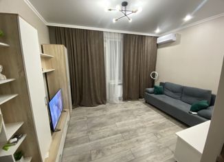 Сдам квартиру студию, 24.7 м2, Ростов-на-Дону, улица Ерёменко, 112/1с2, ЖК Пятый Элемент