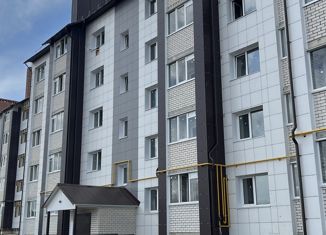 Продается однокомнатная квартира, 25.3 м2, деревня Крутые Выселки, ЖК Изумрудный Город, Лучезарная улица, 10А