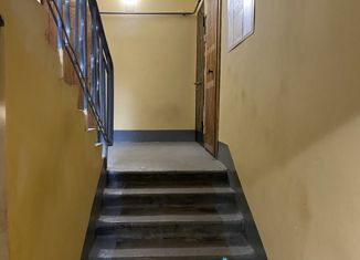 Продам 2-комнатную квартиру, 45.9 м2, Санкт-Петербург, Северный проспект, 91к4, муниципальный округ Гражданка