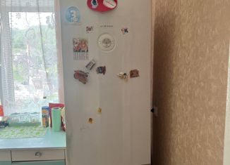 2-комнатная квартира на продажу, 43.3 м2, Циолковский, Сосновая улица, 210