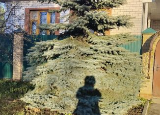 Продаю дом, 79.7 м2, деревня Ошурга, улица Ошурга