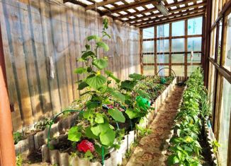 Продажа дома, 60 м2, деревня Сосновка, Лесная улица