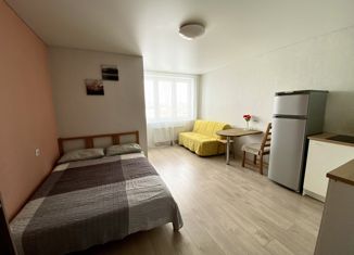 Сдам в аренду квартиру студию, 25 м2, Уфа, Кустарёвская набережная, 11, ЖК Яркий