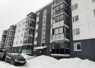 Продажа квартиры студии, 33.5 м2, Петрозаводск, Чистая улица, 13, район Древлянка-II