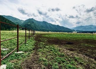 Земельный участок на продажу, 46 сот., село Турбаза Катунь, Сосновая улица
