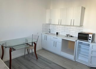 Продается квартира студия, 19.2 м2, Якутск, улица Петра Алексеева, 81/1