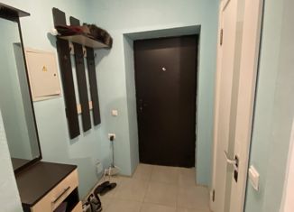 Квартира на продажу студия, 28 м2, село Зубово, улица Бориса Перина, 1