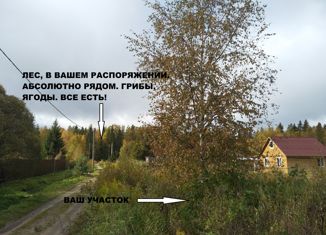 Продам земельный участок, 8 сот., Новая Ладога, садоводческое некоммерческое товарищество Ивушка, 220