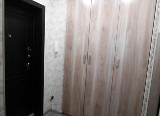 Квартира в аренду студия, 29 м2, Красноярск, Судостроительная улица, 155, ЖК Полтавский