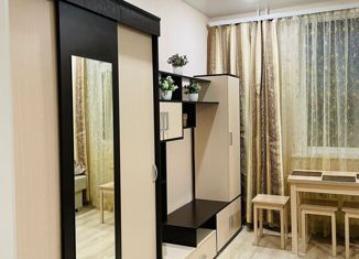 Сдам в аренду квартиру студию, 20 м2, Мурино, Воронцовский бульвар, 16к1, ЖК Краски Лета