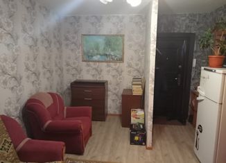 1-комнатная квартира на продажу, 29.6 м2, железнодорожная станция Чернец, микрорайон Сосновый Бор, 11