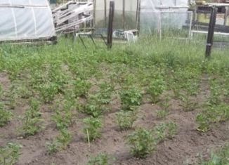 Продажа дома, 14 м2, Якутск, Строительный округ, СОТ Чайка, 13