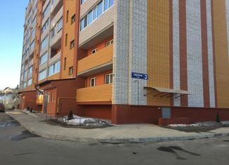 Продается 2-комнатная квартира, 56.4 м2, деревня Алтуховка, Светлая улица, 3