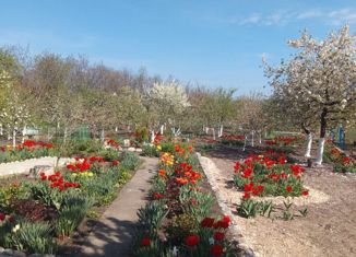 Продается дом, 45.2 м2, станица Зольская