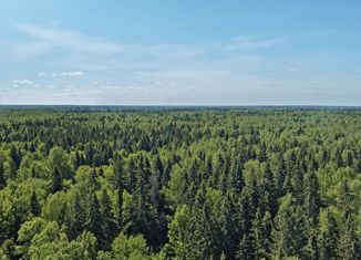 Продается земельный участок, 10 сот., садовое товарищество Стрела