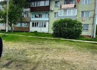 Продаю 3-комнатную квартиру, 50 м2, село Борисовка, Новая улица, 1А