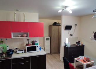 Продается квартира студия, 23.3 м2, Омск, улица Завертяева, 17/12, Центральный округ