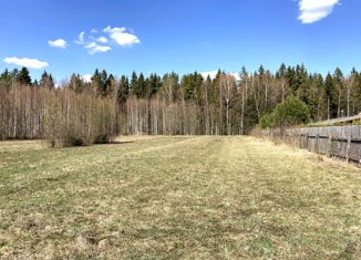 Земельный участок на продажу, 25 сот., деревня Большие Борки, Садовая улица