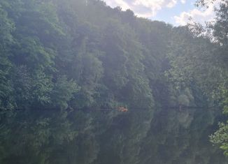 Продаю дом, 290 м2, деревня Большое Саврасово, СНТ Росинка, 37