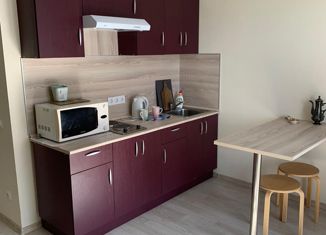 Продаю 1-ком. квартиру, 26.1 м2, Ростов-на-Дону, ЖК Пятый Элемент