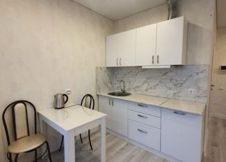 Сдаю в аренду квартиру студию, 30 м2, Коми, Тентюковская улица, 333