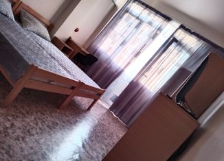 Сдам в аренду квартиру студию, 31 м2, Сочи, улица Ромашек, 6, микрорайон Черемушки