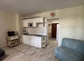 Продается квартира студия, 33 м2, Алушта, Ревкомовский переулок, 4