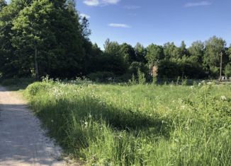 Продается земельный участок, 40 сот., деревня Радюкино