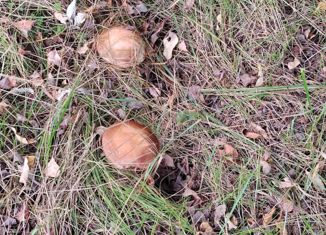 Участок на продажу, 30 сот., деревня Часовенная, Почтовая улица, 25