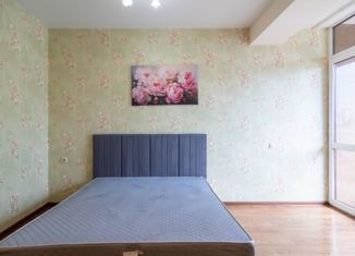 1-ком. квартира в аренду, 40 м2, Сочи, Виноградная улица, 139