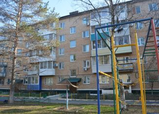Двухкомнатная квартира на продажу, 46.8 м2, посёлок городского типа Лучегорск, 1-й микрорайон, 14