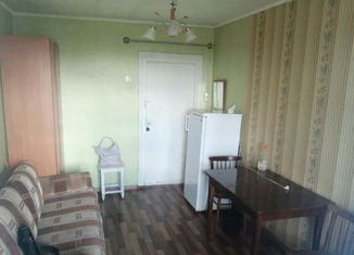 Продается однокомнатная квартира, 30 м2, село Засечное, улица Механизаторов, 11