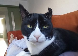 Продажа комнаты, 18.4 м2, Ростов-на-Дону, проспект 40-летия Победы, 63/11, Пролетарский район