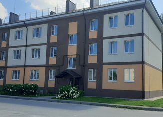 Продажа трехкомнатной квартиры, 58.8 м2, рабочий посёлок Сокольское, Садовая улица, 36