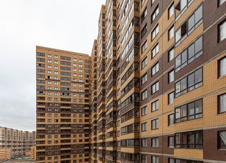 Продажа двухкомнатной квартиры, 54 м2, Санкт-Петербург, ЖК Приневский