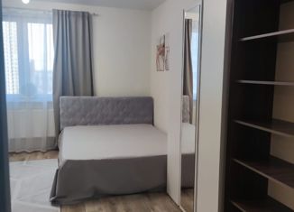 Сдается в аренду квартира студия, 30 м2, Красноярск, улица Петра Подзолкова, 24, Советский район