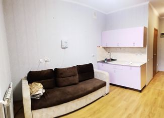 Квартира в аренду студия, 21 м2, село Чигири, Алексеевская улица, 4