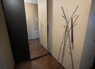 1-комнатная квартира на продажу, 41.7 м2, Санкт-Петербург, проспект Медиков, 10к4, проспект Медиков