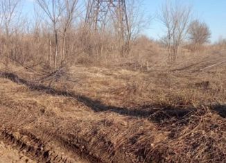 Продаю дом, 80 м2, село Святоруссовка, Школьная улица, 41