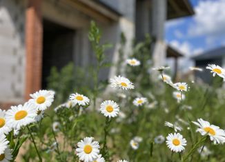 Дом на продажу, 320 м2, деревня Покровское, 3-я Рождественская улица