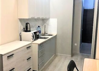 Квартира на продажу студия, 16.4 м2, Москва, метро Новогиреево, Вешняковская улица, 11к1