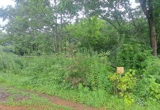 Продажа земельного участка, 6 сот., СТ Диомид-1