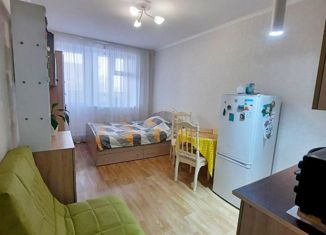 Продается однокомнатная квартира, 23.2 м2, Чувашия, улица Петрова, 9к1