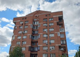 Продажа 1-комнатной квартиры, 33 м2, Санкт-Петербург, Заневский проспект, 51к2, метро Новочеркасская