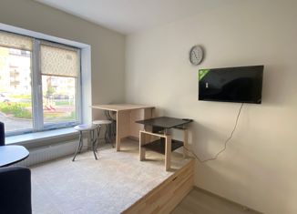 Сдается в аренду квартира студия, 30.1 м2, посёлок Щеглово, посёлок Щеглово, 94