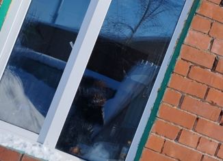 Продается дом, 76 м2, Нурлат, улица Дружба