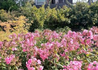 Продажа дома, 30 м2, территория Эжвинский, СТ Парма-2, 82