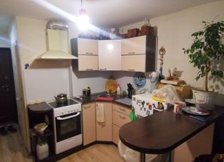 Продается квартира студия, 22.7 м2, деревня Хохряки, Тепличная улица, 30