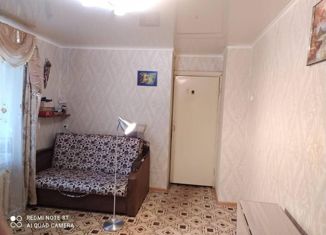 2-комнатная квартира на продажу, 41.6 м2, село Осиново, Центральная улица, 5